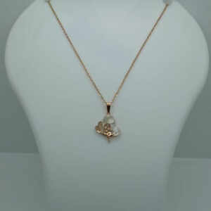 western chain